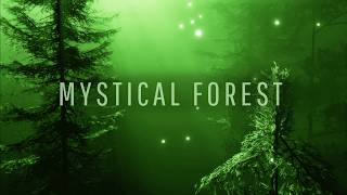 Enchanting Forest Music 🎵 for Relaxation and Meditation 🌲✨ Path to The Elven Lands [upl. by Airetas]