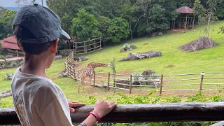 UM PASSEIO NO ZOOLÓGICO ANIMALIA PARK [upl. by Naira]