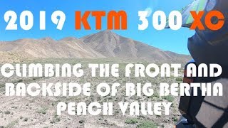 2019 KTM 300XC HILL CLIMBS PEACH VALLEY BIG BERTHA [upl. by Enninaej]