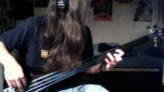 Control Denied  What if Frestless Bass Cover [upl. by Yelsgnik266]