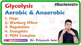 Glycolysis Aerobic and Anaerobic  Steps Warburg Effect Regulation Energetics PDH Complex [upl. by Ddet]