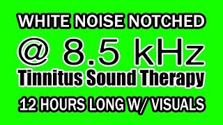 White Noise  Notch Filtered at 85 kHz for Tinnitus Therapy w Visuals [upl. by Idalina]