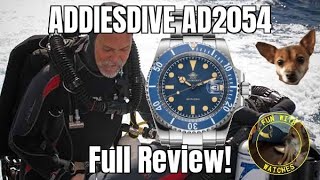 ADDIESDIVE AD2054 Quartz Dive Style Watch Review [upl. by Fougere]