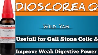 DIOSCOREA VILLOSA  Uses amp Benefits in Hindi  Gall Stone Pain Homoeopathicvines [upl. by Inaniel142]