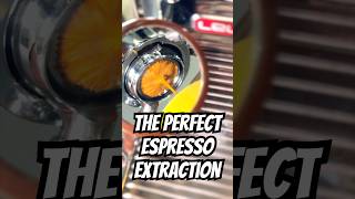 Espresso Extraction [upl. by Garin]