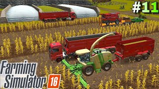 Fazendo silagem de milho Com a Krone Big X 1100  FS 16 [upl. by Hilaire]