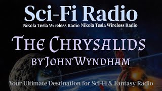 The Chrysalids 1981 John Wyndham  BBC Radio [upl. by Horowitz768]