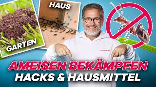 Ameisen bekämpfen im Haus und Garten 🏠🐜 Hausmittel und Methoden einfach erklärt [upl. by Esiled]