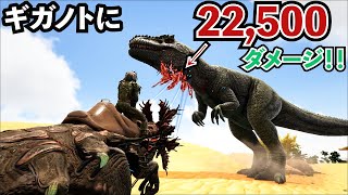 【ARK】一撃22500ダメージ！ギガノトを余裕で倒す高Lvベロナサウルスをテイムだッ！！ [upl. by Akinod499]