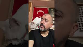 Hava Çok Sıcak Zeus 🤣 hayvansevgisi youtubeshorts sokakhayvanları [upl. by Calen]