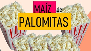 MAÍZ DE PALOMITAS [upl. by Euridice]