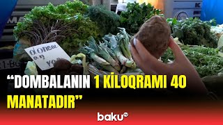 Bazarda min bir dərdin dərmanı olan yabanı bitkilərin qiyməti [upl. by Aicilat560]