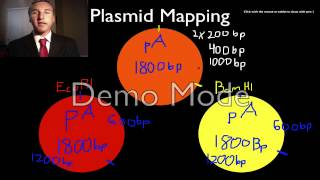 Plasmid Mapping [upl. by Lemkul]