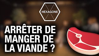 VÉGÉTARIENS vs VÉGANS vs CARNISTES  Débat  Hexagone 2 [upl. by Yorker]