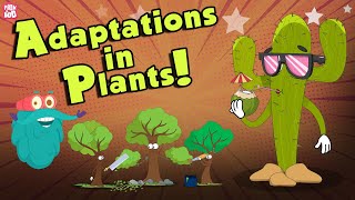 Adaptations In Plants  What Is ADAPTATION  The Dr Binocs Show  Peekaboo Kidz [upl. by Aicened]