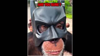 Best Batman Cosplay Moments☠️☠️ [upl. by Nannoc]