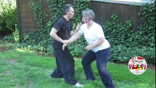 Yangstyle Taijiquan 8 Discframed Pushhands 4 5 amp 6 performed by Jim Madras amp Erica Anderson [upl. by Obelia]