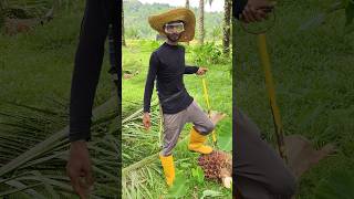 Plantation worker palmoil malaysia shorts viralshort new plantation ytshorts [upl. by Ainelec]