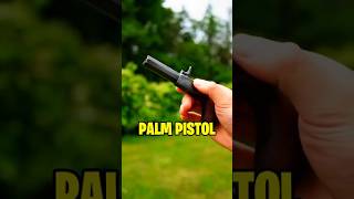 La MITICA PALM PISTOL  datoscuriosos datoscuriosos army [upl. by Newbold268]