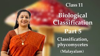 NEET Kingdom Fungi  Classification Phycomycetes മലയാളം [upl. by Asiluj423]