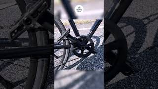 Trek FX 3 Disc Review Comfort Speed and Style Combined [upl. by Assirrem317]