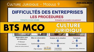 AIDE BTS MCO  4 procédures pour les entreprises en difficulté  CULTURE JURIDIQUE BTS [upl. by Sihtnyc90]