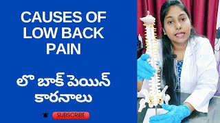 Reasons for back pain  బాక్ పెయిన్ కారనాలు [upl. by Odrawde]