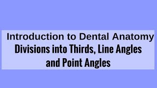 Divisions into Thirds Line Angles and Point Angles [upl. by Waller]