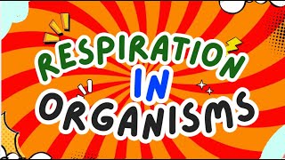 Respiration in Organisms  How Animals amp Plants Breathe  Class 7 Science [upl. by Ayaet]