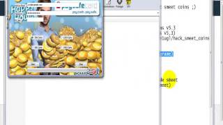 coins smeet hack 28052013 [upl. by Llekcm]