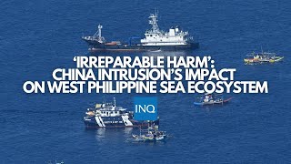 ‘Irreparable harm’ China intrusion’s impact on West Philippine Sea ecosystem [upl. by Pen]