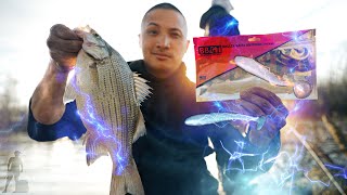 Flooded River White Bass  New Baits from Ballzy Baits [upl. by Asiral]