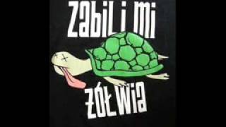 Zabili Mi Żółwia  Taka Sama Krew [upl. by Leddy]