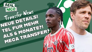 Tel Transfer neue Details  Kommt es zum Mega Transfer [upl. by Waylin952]