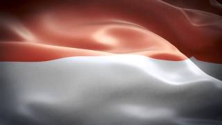 Monaco anthem amp flag FullHD  Монако гимн и флаг  Monaco hymne et le drapeau [upl. by Pardo]