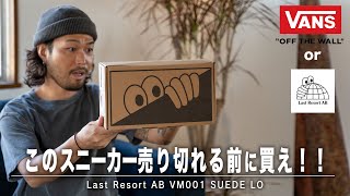 【VANSに飽きた人必見】一目惚れして即買いしたスニーカーが〇〇過ぎた！！！ [upl. by Jovitta986]