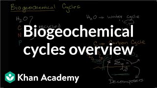 The carbon cycle  Nathaniel Manning [upl. by Vladamir]