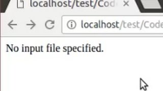 Codeigniter problem  No input file specified when open the page [upl. by Aseeram360]