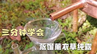 薰衣草精油一种副产品——薰衣草纯露，简单蒸馏即可创造芳香价值 [upl. by Barren362]