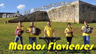 Grupo de Concertinas Marotos Flavienses  Malhão de Cinfães [upl. by Josias]