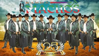 Banda Machos  Puras Rancheras Mix [upl. by Enyalb]