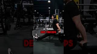 3 meilleurs exercices triceps avec haltères et poids du corps [upl. by Mafalda]