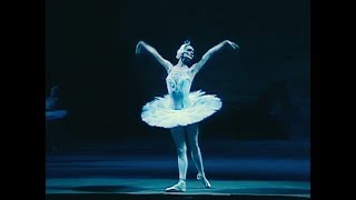 Tchaikovsky Swan Lake Bolshoi Ballet Moscow 1989 [upl. by Dhiren]