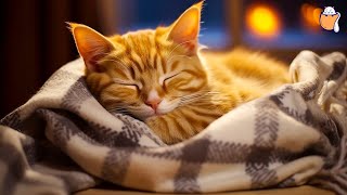 247 LIVE Relaxing Piano for Anxious cats  Stressrelief  Cat Music  Sleepy Cat [upl. by Atirahs]