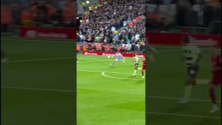 Mo Salah Goal vs Manchester City  From The Stands [upl. by Ashti]