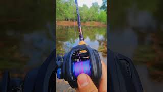 SHIMANO SLX DC fishing shimano caretinha ondeirnorio pescaria [upl. by Atived374]