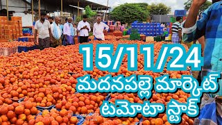 151124 Madanapalle Tomato Market price Today  Today Tomato Market Rate in Madanapalle today [upl. by Bradford]