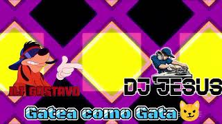 Perrea mami perrea x Gatea Como Gata Dj Gustavo Ft Dj Jesús pro mix 🔥🚨🥷🏻 [upl. by Ehcrop711]