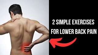 2 Physio Exercises For Lower Back Pain [upl. by Nalyad659]