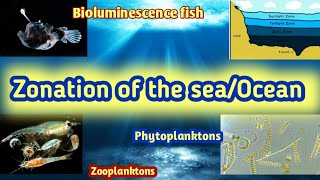 Zonation of the oceans  seas [upl. by Asenej]